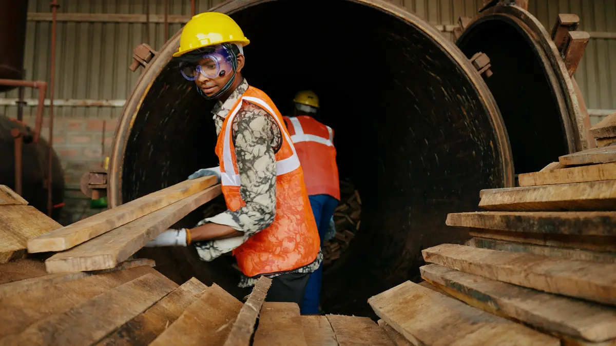 Timber Insertion