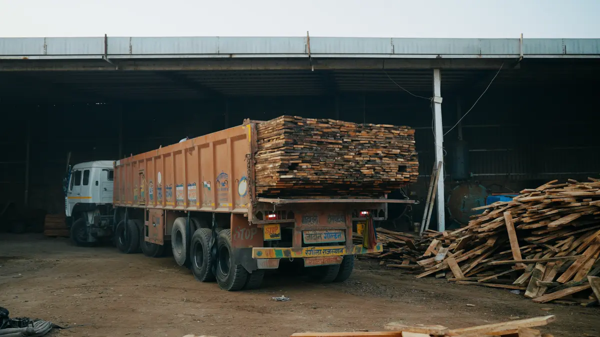 Raw Timber